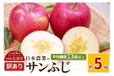 【25年11月～発送】りんご 平均糖度13度以上！ サンふじ 約5kg 訳あり【先行受付】 青森 果物 フルーツ 林檎 リンゴ くだもの 不揃い 規格外 予約【レビューキャンペーン】