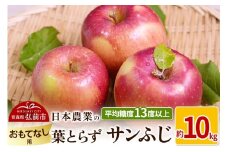 【25年11月～発送】りんご 平均糖度13度以上！ 葉とらずサンふじ 約10kg おもてなし用【先行受付】 青森 果物 フルーツ 林檎 リンゴ くだもの 予約【レビューキャンペーン】