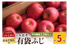 【26年4月～発送】りんご 平均糖度13度以上！ 有袋ふじ 約5kg おもてなし用 CA貯蔵 クール便【先行受付】 青森 果物 フルーツ 林檎 リンゴ くだもの 予約【レビューキャンペーン】