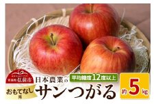 【25年9月～発送】りんご 平均糖度12度以上！ サンつがる 約5kg おもてなし用 クール便【先行受付】 青森 果物 フルーツ 林檎 リンゴ くだもの 予約【レビューキャンペーン】