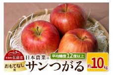 【25年9月～発送】りんご 平均糖度12度以上！ サンつがる 約10kg おもてなし用 クール便【先行受付】 青森 果物 フルーツ 林檎 リンゴ くだもの 予約【レビューキャンペーン】