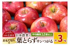 【25年9月～発送】りんご 平均糖度12度以上！ 葉とらずサンつがる 約3kg おもてなし用 クール便【先行受付】 青森 果物 フルーツ 林檎 リンゴ くだもの 予約【レビューキャンペーン】