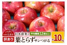 【25年9月～発送】りんご 平均糖度12度以上！ 葉とらずサンつがる 約10kg 訳あり クール便【先行受付】 青森 果物 フルーツ 林檎 リンゴ くだもの 不揃い 規格外 予約【レビューキャンペーン】