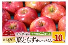 【25年9月～発送】りんご 平均糖度12度以上！ 葉とらずサンつがる 約10kg おもてなし用 クール便【先行受付】 青森 果物 フルーツ 林檎 リンゴ くだもの 予約【レビューキャンペーン】