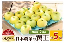 【25年9月～発送】りんご 平均糖度12度以上！ 黄王 約5kg おもてなし用 クール便【先行受付】 青森 果物 フルーツ 林檎 リンゴ くだもの 予約【レビューキャンペーン】