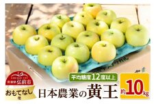 【25年9月～発送】りんご 平均糖度12度以上！ 黄王 約10kg おもてなし用 クール便【先行受付】 青森 果物 フルーツ 林檎 リンゴ くだもの 予約【レビューキャンペーン】