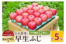 【25年10月～発送】りんご 平均糖度12度以上！ 早生ふじ 約5kg おもてなし用【先行受付】 青森 果物 フルーツ 林檎 リンゴ くだもの 予約【レビューキャンペーン】