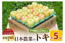 【25年10月～発送】りんご 平均糖度12度以上！ トキ 約5kg おもてなし用【先行受付】 青森 果物 フルーツ 林檎 リンゴ くだもの 予約【レビューキャンペーン】