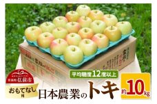 【25年10月～発送】りんご 平均糖度12度以上！ トキ 約10kg おもてなし用【先行受付】 青森 果物 フルーツ 林檎 リンゴ くだもの 予約【レビューキャンペーン】