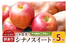 【25年11月～発送】りんご 平均糖度13度以上！ シナノスイート 約5kg 訳あり【先行受付】 青森 果物 フルーツ 林檎 リンゴ くだもの 不揃い 規格外 予約【レビューキャンペーン】
