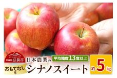 【25年11月～発送】りんご 平均糖度13度以上！ シナノスイート 約5kg おもてなし用【先行受付】 青森 果物 フルーツ 林檎 リンゴ くだもの 予約【レビューキャンペーン】