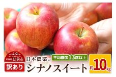 【25年11月～発送】りんご 平均糖度13度以上！ シナノスイート 約10kg 訳あり【先行受付】 青森 果物 フルーツ 林檎 リンゴ くだもの 不揃い 規格外 予約【レビューキャンペーン】