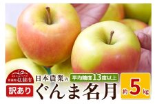 【25年11月～発送】りんご 平均糖度13度以上！ ぐんま名月 約5kg 訳あり【先行受付】 青森 果物 フルーツ 林檎 リンゴ くだもの 不揃い 規格外 予約【レビューキャンペーン】