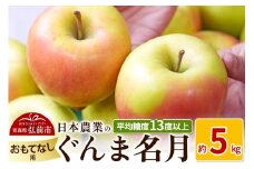【25年11月～発送】りんご 平均糖度13度以上！ ぐんま名月 約5kg おもてなし用【先行受付】 青森 果物 フルーツ 林檎 リンゴ くだもの 予約【レビューキャンペーン】