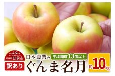 【25年11月～発送】りんご 平均糖度13度以上！ ぐんま名月 約10kg 訳あり【先行受付】 青森 果物 フルーツ 林檎 リンゴ くだもの 不揃い 規格外 予約【レビューキャンペーン】