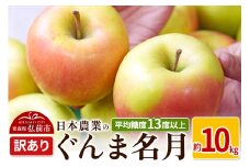 【25年11月～発送】りんご 平均糖度13度以上！ ぐんま名月 約10kg 訳あり【先行受付】 青森 果物 フルーツ 林檎 リンゴ くだもの 不揃い 規格外 予約【レビューキャンペーン】