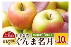 【25年11月～発送】りんご 平均糖度13度以上！ ぐんま名月 約10kg おもてなし用【先行受付】 青森 果物 フルーツ 林檎 リンゴ くだもの 予約【レビューキャンペーン】