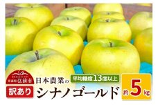 【25年11月～発送】りんご 平均糖度13度以上！ シナノゴールド 約5kg 訳あり【先行受付】 青森 果物 フルーツ 林檎 リンゴ くだもの 不揃い 規格外 予約【レビューキャンペーン】