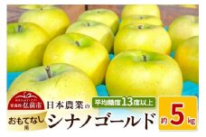 【25年11月～発送】りんご 平均糖度13度以上！ シナノゴールド 約5kg おもてなし用【先行受付】 青森 果物 フルーツ 林檎 リンゴ くだもの 予約【レビューキャンペーン】