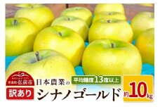 【25年11月～発送】りんご 平均糖度13度以上！ シナノゴールド 約10kg 訳あり【先行受付】 青森 果物 フルーツ 林檎 リンゴ くだもの 不揃い 規格外 予約【レビューキャンペーン】