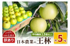 【25年11月～発送】りんご 平均糖度13度以上！ 王林 約5kg 訳あり【先行受付】 青森 果物 フルーツ 林檎 リンゴ くだもの 不揃い 規格外 予約【レビューキャンペーン】