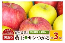 【25年9月～発送】りんご 平均糖度13度以上！ 黄王×サンつがる 約3kg 訳あり クール便【先行受付】 青森 果物 フルーツ 林檎 リンゴ くだもの 不揃い 規格外 予約【レビューキャンペーン】