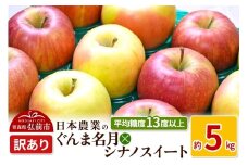 【25年11月～発送】りんご平均糖度13度以上！ ぐんま名月×シナノスイート 約5kg 訳あり【先行受付】 青森 果物 フルーツ 林檎 リンゴ くだもの 不揃い 規格外 予約【レビューキャンペーン】