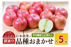 【25年9月～発送】りんご 平均糖度12度以上！ 品種おまかせ 約5kg 訳あり クール便【先行受付】 青森 果物 フルーツ 林檎 リンゴ くだもの 不揃い 規格外 予約【レビューキャンペーン】