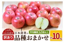 【25年9月～発送】りんご 平均糖度12度以上！ 品種おまかせ 約10kg 訳あり クール便【先行受付】 青森 果物 フルーツ 林檎 リンゴ くだもの 不揃い 規格外 予約【レビューキャンペーン】