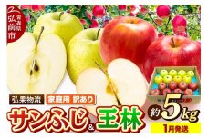 【26年1月発送】りんご 家庭用 訳あり サンふじ・王林 詰め合わせ 約5kg【レビューキャンペーン】
