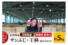 【26年3月発送】りんご 家庭用 訳あり サンふじ・王林 詰め合わせ 約5kg【レビューキャンペーン】