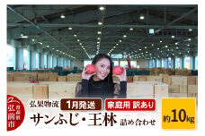 【26年1月発送】りんご 家庭用 訳あり サンふじ・王林 詰め合わせ 約10kg【レビューキャンペーン】
