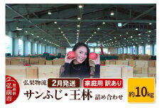 【26年2月発送】りんご 家庭用 訳あり サンふじ・王林 詰め合わせ 約10kg【レビューキャンペーン】