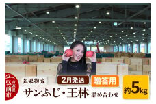 【26年2月発送】りんご 贈答用 サンふじ・王林 詰め合わせ 約5kg【レビューキャンペーン】