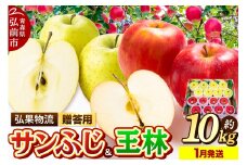 【26年1月発送】りんご 贈答用 サンふじ・王林 詰め合わせ 約10kg【レビューキャンペーン】