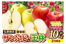 【26年2月発送】りんご 贈答用 サンふじ・王林 詰め合わせ 約10kg【レビューキャンペーン】