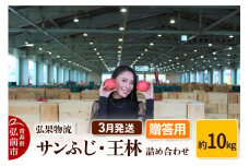 【26年3月発送】りんご 贈答用 サンふじ・王林 詰め合わせ 約10kg【レビューキャンペーン】
