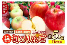 【25年11月発送】りんご 家庭用 訳あり 旬のりんご 品種おまかせ 約5kg 2品種～4品種【レビューキャンペーン】