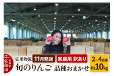 【25年11月発送】りんご 家庭用 訳あり 旬のりんご 品種おまかせ 約10kg 2品種～4品種【レビューキャンペーン】