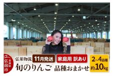 【25年11月発送】りんご 家庭用 訳あり 旬のりんご 品種おまかせ 約10kg 2品種～4品種【レビューキャンペーン】