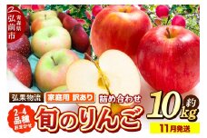 【25年11月発送】りんご 家庭用 訳あり 旬のりんご 品種おまかせ 約10kg 2品種～4品種【レビューキャンペーン】