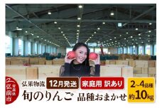 【25年12月発送】りんご 家庭用 訳あり 旬のりんご 品種おまかせ 約10kg 2品種～4品種【レビューキャンペーン】