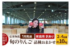 【26年1月発送】りんご 家庭用 訳あり 旬のりんご 品種おまかせ 約10kg 2品種～4品種【レビューキャンペーン】