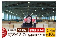 【26年3月発送】りんご 家庭用 訳あり 旬のりんご 品種おまかせ 約10kg 2品種～4品種【レビューキャンペーン】