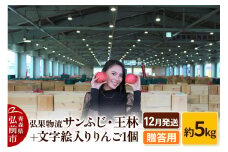【25年12月発送】りんご 贈答用 サンふじ・王林＋文字絵入りりんご1個 約5kg【レビューキャンペーン】