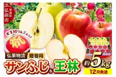 【25年12月発送】りんご 贈答用 サンふじ・王林＋文字絵入りりんご1個 約5kg【レビューキャンペーン】