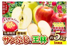【26年1月発送】りんご 贈答用 サンふじ・王林＋文字絵入りりんご1個 約5kg【レビューキャンペーン】