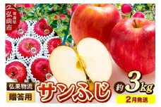 【26年2月発送】りんご 贈答用 サンふじ 約3kg【レビューキャンペーン】