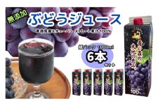 ぶどうジュース 紙パック 1L×6本入り 無添加 ストレート果汁100％ スチューベンジュース 青森県産【レビューキャンペーン】