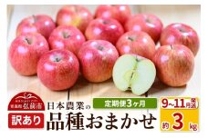 【25年9月発送】りんご【定期便3ヶ月】平均糖度12.5度以上！ 訳あり品種おまかせ 約3kg 【9～11月】 3回分【先行受付】 青森 果物 フルーツ 林檎 リンゴ くだもの 不揃い 規格外 予約【レビューキャンペーン】